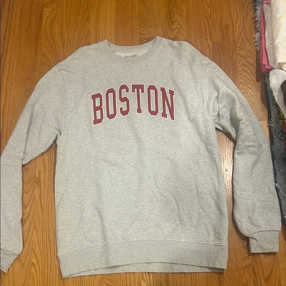 Brandy Melville Gray Boston Crewneck Sweater
